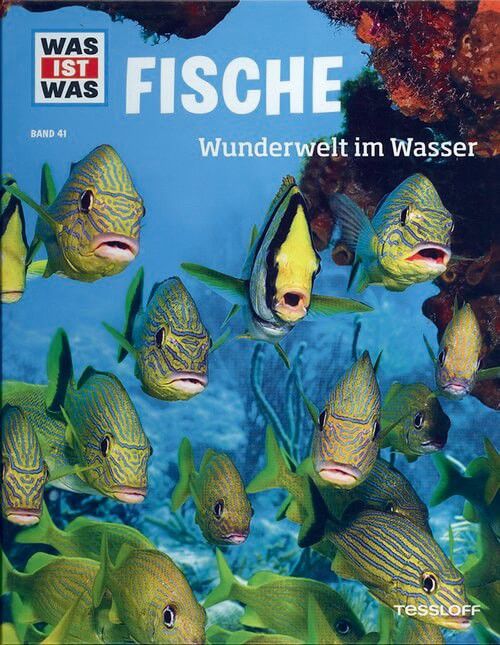 Fische - Wunderwelt im Wasser - Was ist was (Bd. 41)