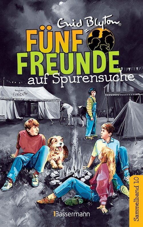 Fünf Freunde auf Spurensuche (Bd. 10)