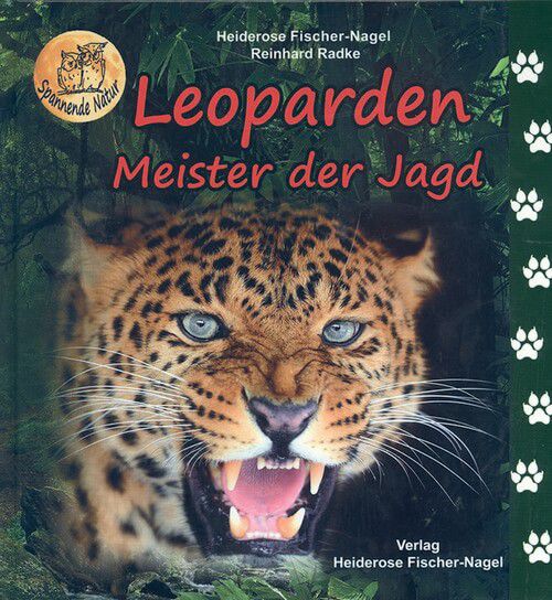 Leoparden - Meister der Jagd