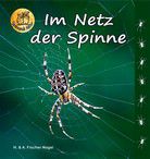 Im Netz der Spinne - Spannende Natur