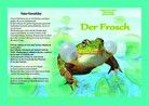 Der Frosch - Bilderkarten fürs Erzähltheater Kamishibai