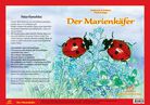Der Marienkäfer - Bilderkarten fürs Erzähltheater Kamishibai
