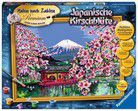 Japanische Kirschblüte - Malen nach Zahlen - Perfektes Malergebnis durch hochwertiges Zubehör