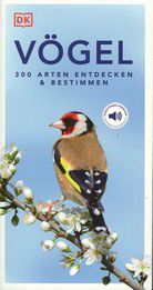 Vögel - 300 Arten entdecken & bestimmen