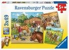 Puzzle - Mein Reiterhof  - 3 x 49 Teile
