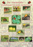 Poster - Der Marienkäfer - Glücksbringer für jeden Gartenfreund