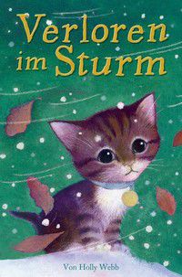 Verloren im Sturm - Eine Kätzchengeschichte