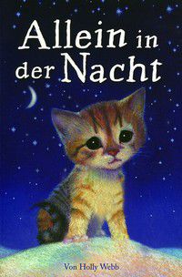 Allein in der Nacht - Eine Kätzchengeschichte